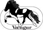 Vaengur